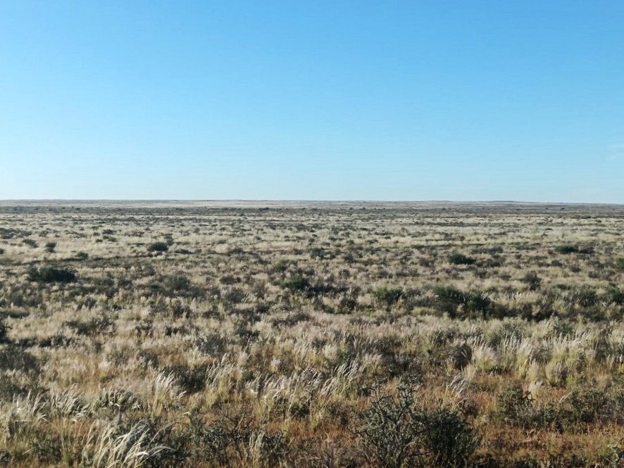 Commercial Property for Sale in Brandvlei Northern Cape